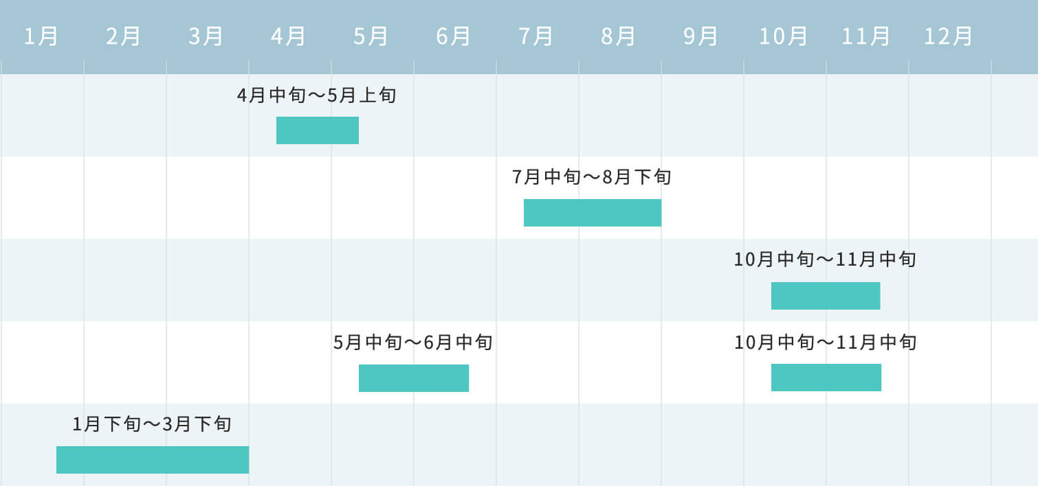 開花時期