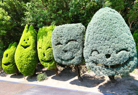 おかしな顔の木