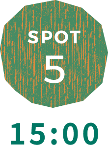 SPOT5 15:00
