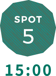 SPOT5 15:00