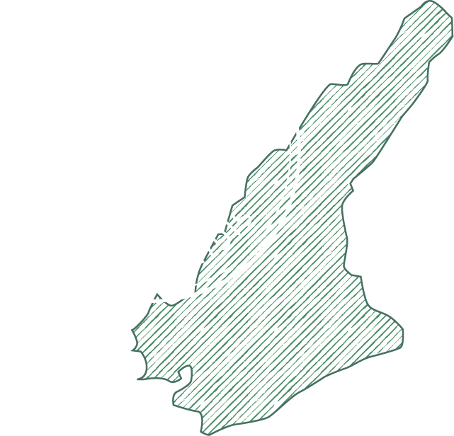 周辺観光スポット